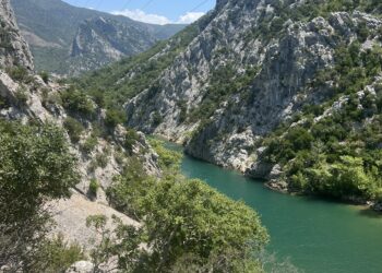 Detaje nga ngjarja në Ulëz/ 23-vjeçari u qëllua teksa ishte në lëvizje, makina përfundoi në Liqenin e Shkopetit