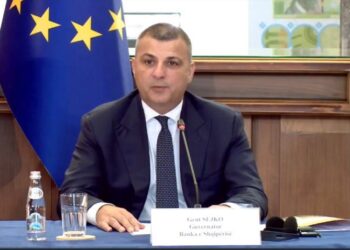 “Kreditimi në sektorin bujqësor, i ulët”, Sejko: Duhet korrektuar një orë e më parë