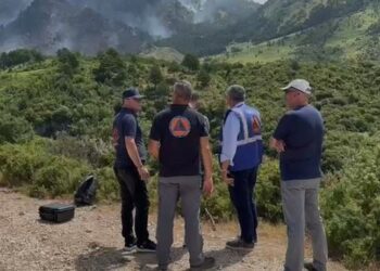 Vijon prej 4 ditësh zjarri në malin e Dukatit, kreu i Emergjencave: Hetoni çdo rast