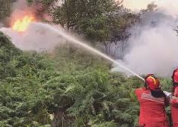 MM bën bilancin e zjarreve: 18 vatra gjatë 24 orëve të fundit, ja ku paraqitet rreziku më i lartë