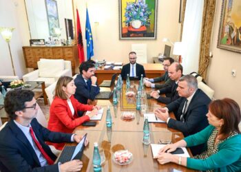 Zhvillimet ekonomike dhe ruajtja e stabilitetit financiar, Sejko takohet me misionin e FMN në Shqipëri