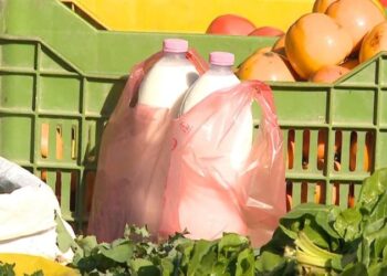 “12 orë transport jashtë frigoriferit, bëhet i rrezikshëm”, ekspertët flasin për rrezikun nga qumështi ambulant