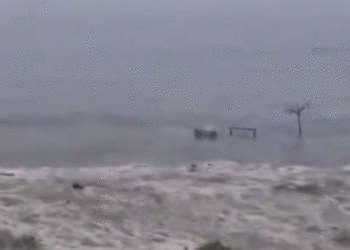 Video/ Valë të cunamit godasin Rusinë dhe Japoninë pas tërmetit në Gadishullin Kamchatka
