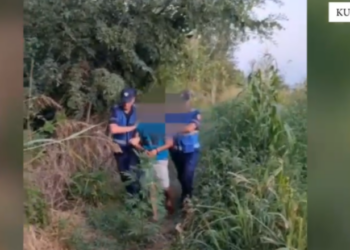 Vijon operacioni “Koordinata”, kapet në flagrancë 34-vjeçari që kultivonte kanabis në Fushë-Milot