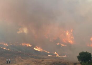 Reuters: Zjarret shpërthejnë në Turqi, Greqi dhe Shqipëri mes valës së të nxehtit mesdhetar