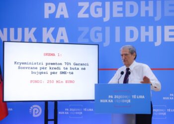 Berisha përsërit akuzat: Si i bleu Rama votat me skemat në bujqësi