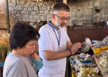 U bë virale në rrjet për faturën e rigonit, Bardha pyet Ramën: Ku ta gjej faturën se Muçi s’më dha zgjidhje?