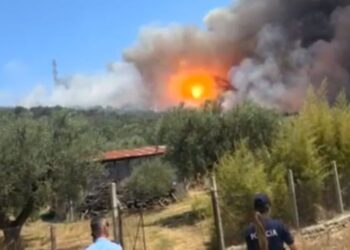 Ndezi zjarr në Frakull, policia e Fierit arreston 64-vjeçarin