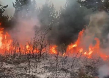 Zjarret përfshijnë disa zona në vend, ndërhyrje nga ajri dhe toka. Ngrihen dronët Bayraktar!