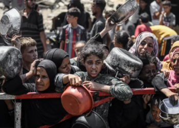 OKB paralajmëron: Kriza e urisë në Gaza mund të ketë rezultate katastrofike të lindjeve