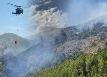Riaktivizohet zjarri në masivin pyjor të Shkopetit, për shuarjen e flakëve ndërhyn edhe helikopteri