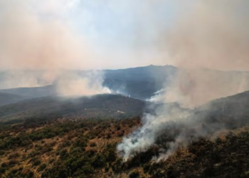 VIDEO / Zjarret në Dibër e Vlorë, BE aktivizon flotën ajrore: Gati për më shumë mbështetje