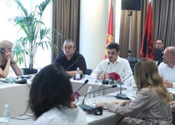 Lufta kundër informalitetit në tregun e punës/ Shqipëria, Maqedonia e Veriut dhe Mali i Zi me nismë të përbashkët