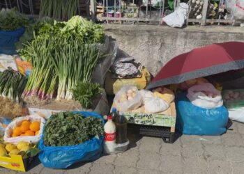 DETAJE / 12 ditë aksion për sigurinë ushqimore, bllokohen mbi 76 ton mallra