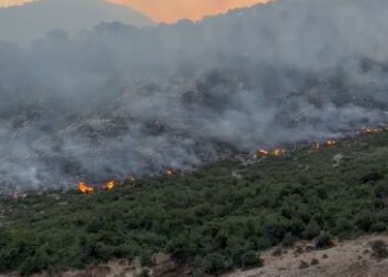 Zjarre në Gjirokastër / Vijë aktive mbi 10 km, mbi 60 forca në terren për izolimin e flakëve