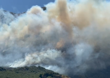 Përfshihet nga zjarri një sipërfaqe e mëdhe me bimësi në fshatin Sevaster në Vlorë, era favorizon flakët