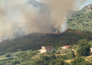 Aktivizohet një vatër e madhe zjarri në Dukat të Ri, flakët i afrohen banesave