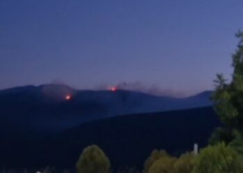 Zjarr në Kukës, era favorizon përhapjen e flakëve, digjen disa hektarë pyje