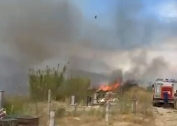 Ndezi zjarr në varreza, qytetari në Vaun e Dejës përfundon në pranga
