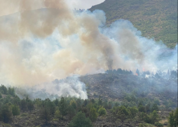 34 vatra zjarri në 24 orët e fundit, mbi 950 forca dhe 6 helikopterë në terren
