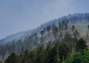 Zjarre të shumta edhe në Kosovë, raportohen 29 vatra aktive në 8 orët e fundit
