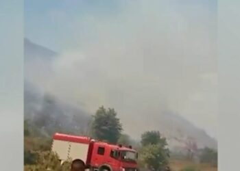 Zjarri dogji 8 hektarë bimësi, arrestohet 25-vjeçari në Konispol