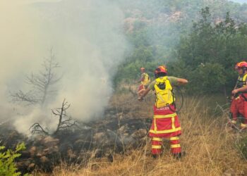 Vijon të jetë aktive vatra në Parkun e Prespës, digjen 7 hektarë bimësi
