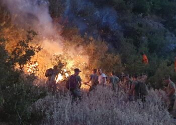 Lufta e humbur me zjarret që po djegin Shqipërinë, vetëm 21 mln euro buxhet për 61 bashki!