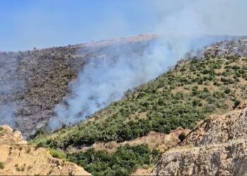 Vijon “beteja” me zjarret, flakët përhapen me shpejtësi edhe në Bypass-in e Vlorës