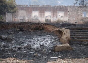 GALERI / “Hataja e zjarreve në Delvinë…”, gazetari publikon fotot: Ç’ka mbetur nga beteja me flakët!
