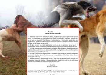 Drafti i Kodit të Ri penal/ Braktisja e kafshëve dhe keqtrajtimi vepër penale, dënohet deri në 3 vite burg, ndëshkim edhe për organizatorët e ndeshjeve  