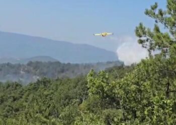Vihet nën kontroll zjarri në Mirditë, digjen dhjetëra hektarë pisha