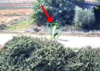 I vunë flakën Shqipërisë, arrestohen 8 piromanë