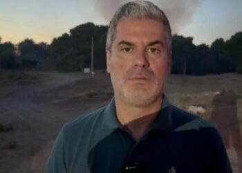 Vijon zjarri në pyllin me pisha në Hidrovor, Ermal Dredha: Dyshohet i qëllimshëm, autori të dalë para drejtësisë 