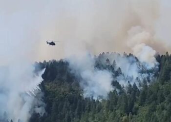 Zjarri në Miras të Korçës, ndërhyn nga ajri helikopteri për të shuar flakët