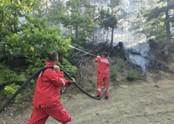 50 vatra zjarri në gjithë vendin, jugu mbetet zona më problematike (19 ende aktive)