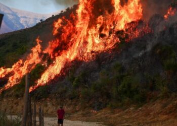 Temperaturat mbi 40°C, zjarret përfshijnë gjithë Evropën Jugore