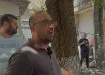 Lirimi i hapësirave publike në Lushnje, Korreshi përplaset me IMTV: Çfarë hapësire zë pema që duan ta presin?