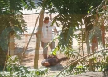 “Mirë ia bëra se më tradhtonte”, ky është momenti i arrestimit të Pandeli Nakolecit, që vrau gruan në Volos