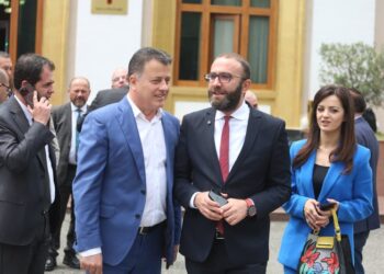 Për çfarë i duhet Gaz Bardhi, Sali Berishës?!