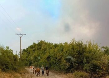 Policia e Elbasanit, thirrje banorëve: Bashkëpunoni me efektivët e rendit dhe Emergjencat Civile