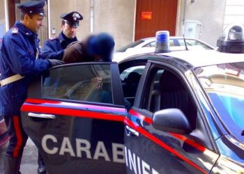 I theu hundën të dashurës me bishtin e fshesës, arrestohet shqiptari në Itali