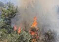 Shpërthejnë sërish zjarret në Vlorë, kërkohet ndihmë nga ajri