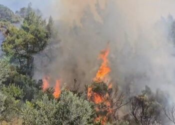 Shpërthejnë sërish zjarret në Vlorë, kërkohet ndihmë nga ajri