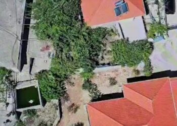 Mbolli kanabis në oborrin e banesës në Lazarat, në pranga 55-vjeçari