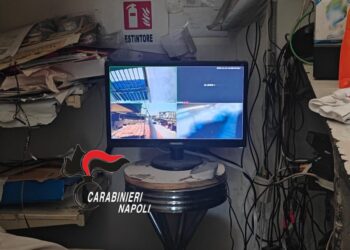 Trafik droge në shtëpi, arrestohet gjyshja 41-vjeçare në Napoli. Polici u shtir si klient