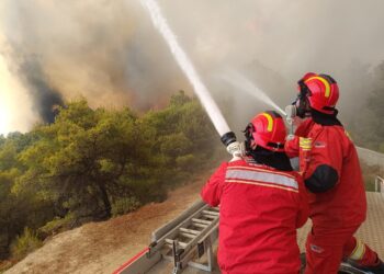 Tre vatra zjarri aktive në vend, dy avionë dhe mbi 400 forca në terren për shuarjen e flakëve