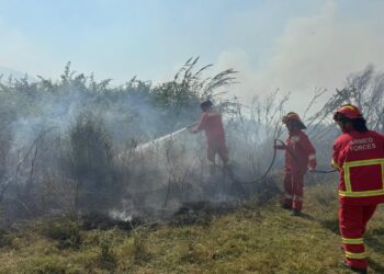 38 vatra zjarri në 24 orë, të huajt që po kontrollojnë flakët tona