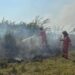 38 vatra zjarri në 24 orë, të huajt që po kontrollojnë flakët tona