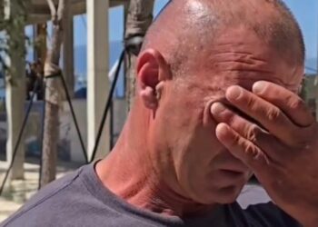 “M’i vranë vetëm se pinë ujë”, masakra ndaj kuajve në Llogara, pronari kërkon apelon për ndihmë